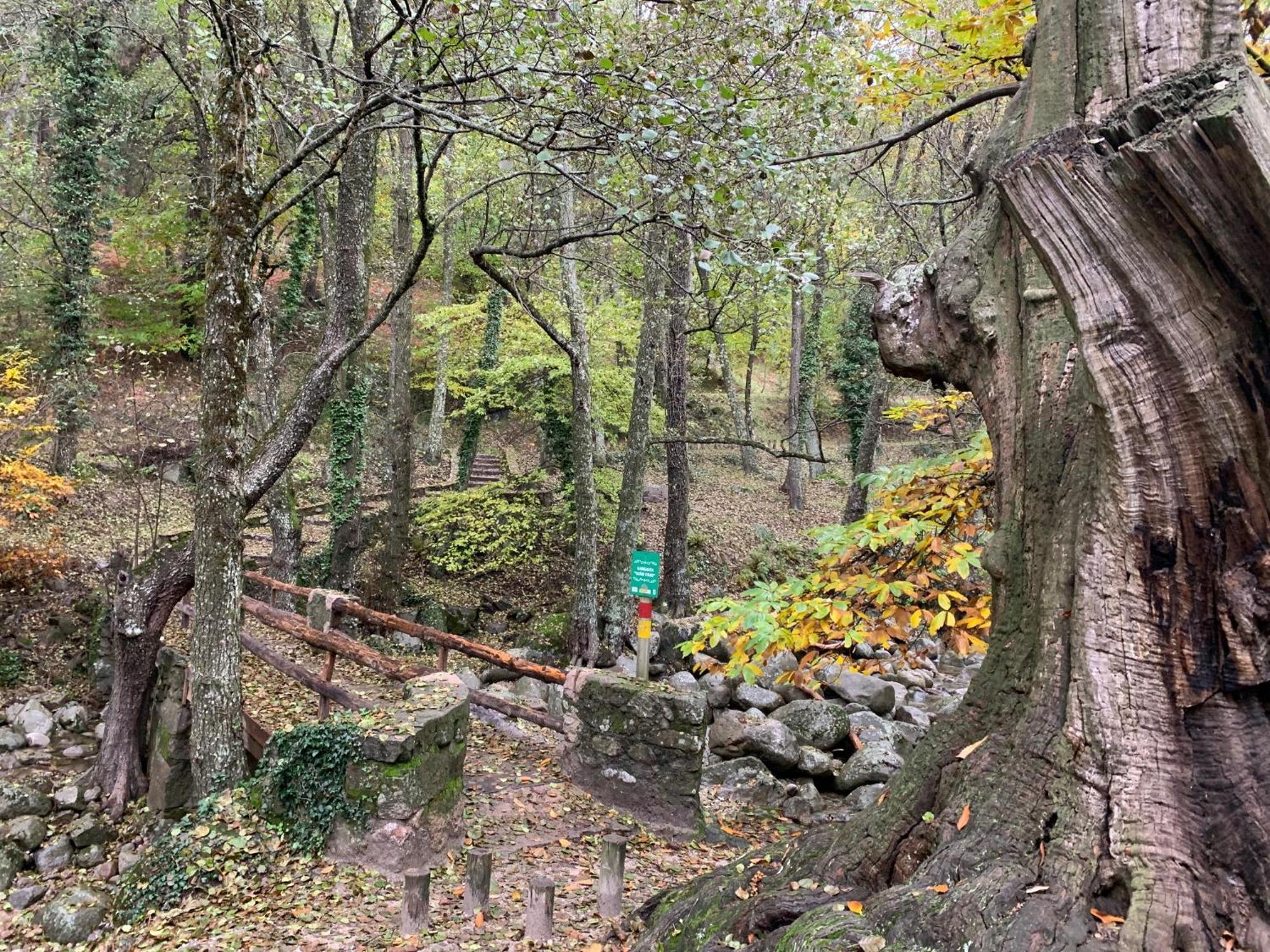 Willa El Refugio De Felix Sotillo de la Adrada Zewnętrze zdjęcie